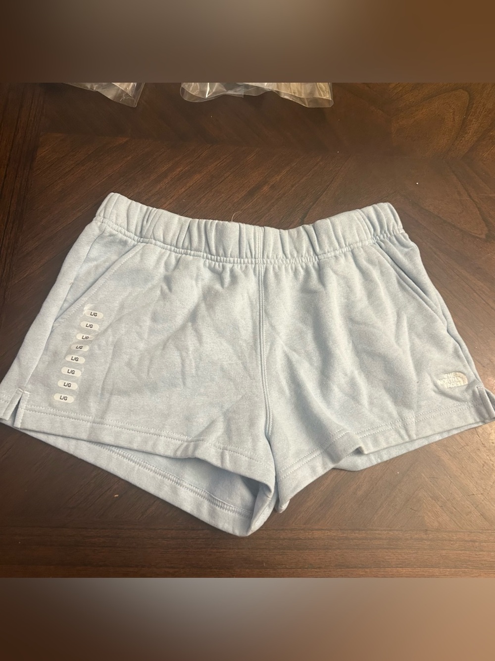 The North Face Logo Shorts Beta Blue Large New